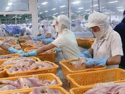 THỦ TỤC THÀNH LẬP CÔNG TY KINH DOANH CÁC LĨNH VỰC NÔNG NGHIỆP, LÂM NGHIỆP, THỦY SẢN
